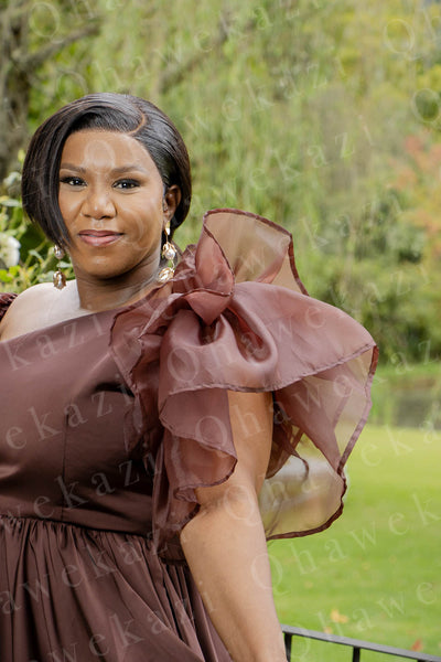 Chocolate Brown Dress