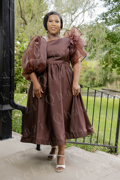 Chocolate Brown Dress