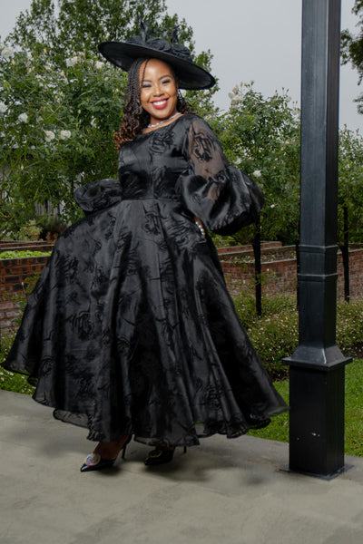 Sphi Black Organdy Dress